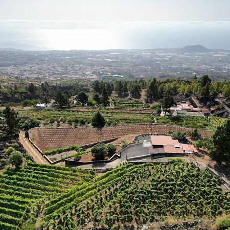 Finca Ecológica Ferrera. Alojamiento Rural. Arafo Exterior foto