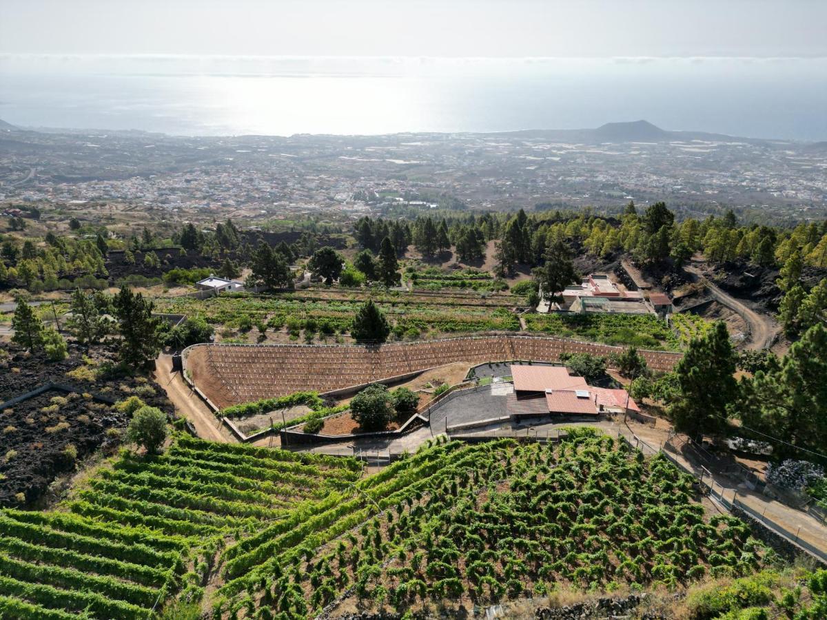 Finca Ecológica Ferrera. Alojamiento Rural. Arafo Exterior foto